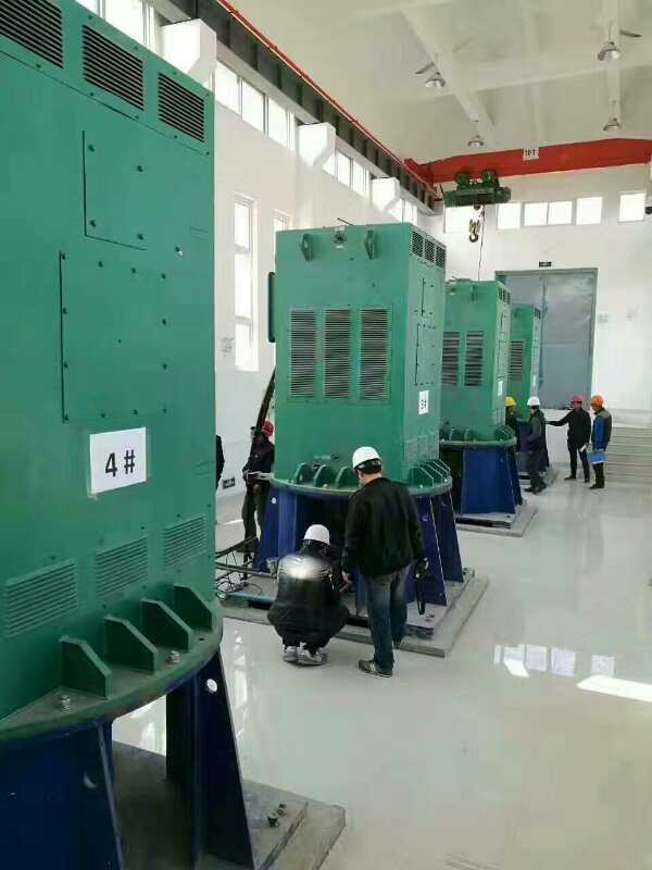景宁某污水处理厂使用我厂的立式高压电机安装现场